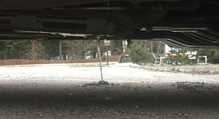 20160109-FizbanSarkit